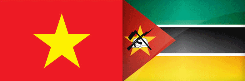 Vietnam, Mozambique sign education protocol - ảnh 1